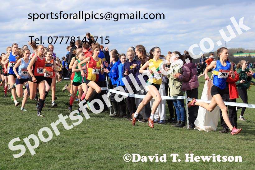 Intermediate Girls 2024 English Schools Cross Country Champs., Pontefract, March 16th.  Photo: David T. Hewitson/Sports for All Pics